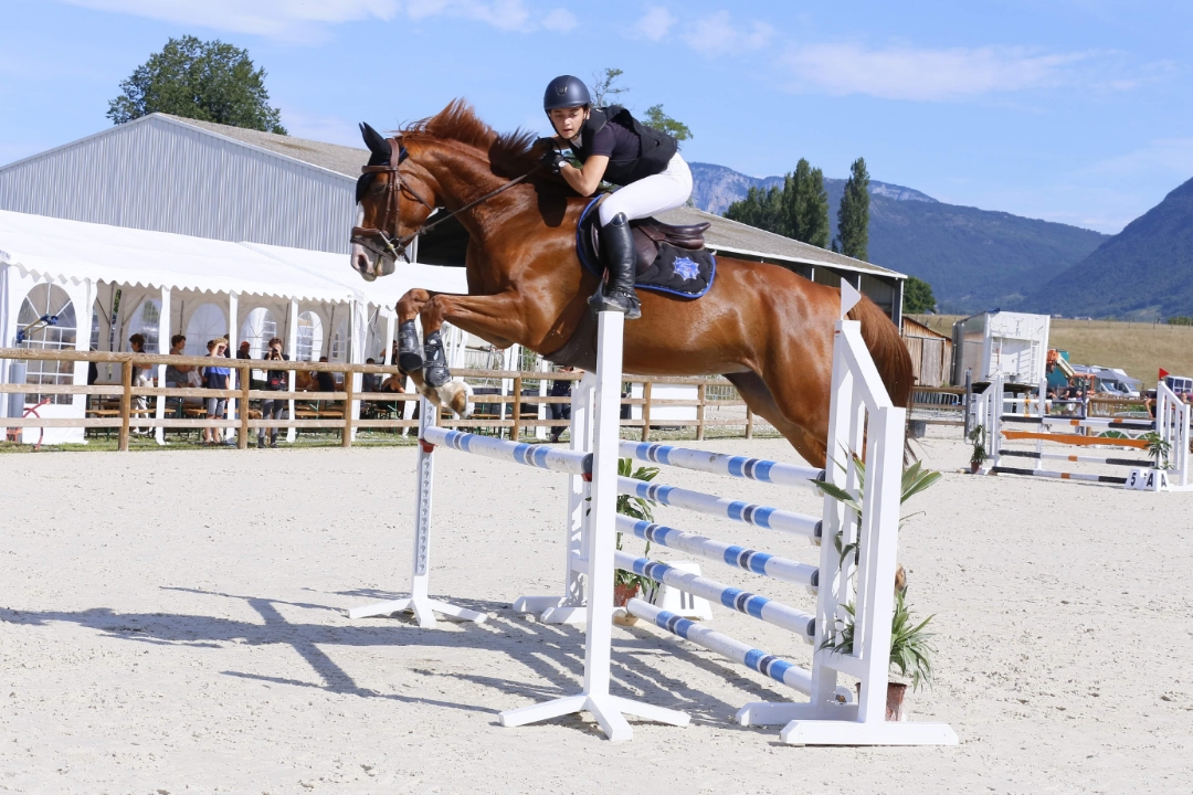 Marches D'étrier De Dressage 4,75 Pouces - Paire, Neuves